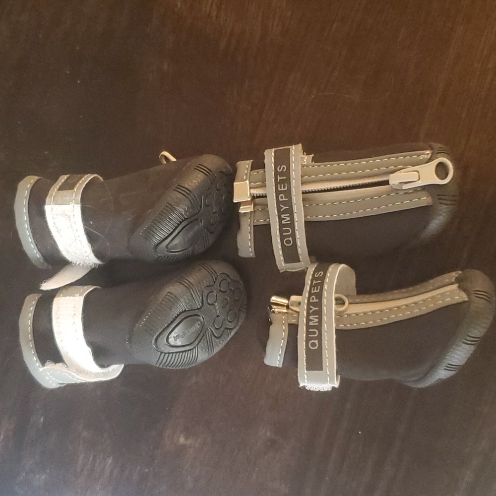 Tiny dog booties